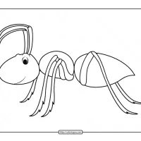 printable ant pdf coloring pages e1607768095150
