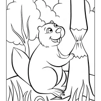 Printable Beaver Coloring Page 12 printable beaver coloring page