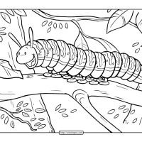 printable caterpillar coloring page