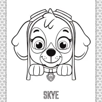 Paw Patrol Cartoon Skye Head Coloring Page 22 paw patrol cartoon skye head coloring page
