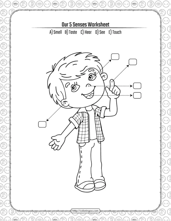printable our 5 senses pdf worksheet