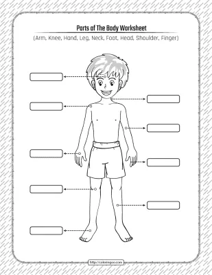 Printable Parts of the Body Pdf Worksheet