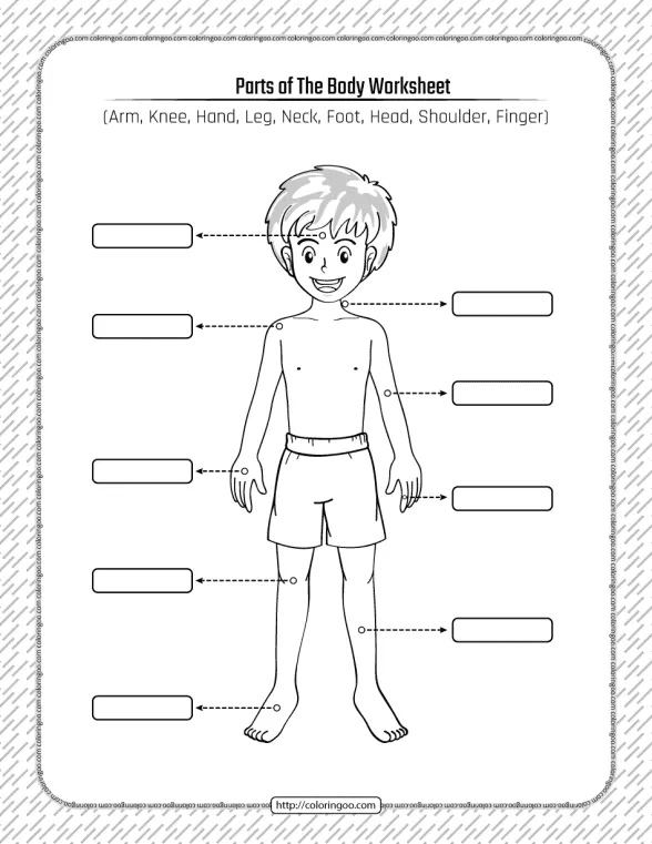 Printable Parts of the Body Pdf Worksheet 1 printable parts of the body pdf worksheet