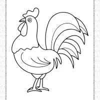free printable rooster coloring pages