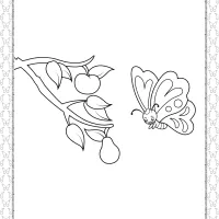 printable butterfly pdf coloring pages 07