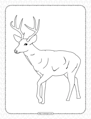 Printable Deer Coloring Pages