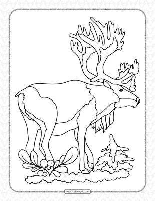Printable Old Deer Coloring Page