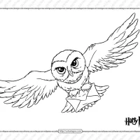 Harry Potter Hedwig Pdf Coloring Page 4 harry potter hedwig pdf coloring page