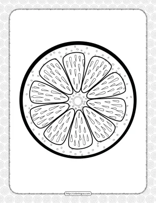 Printable Orange Slice Pdf Coloring Page