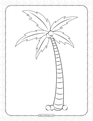 Palm Tree Pdf Coloring Page