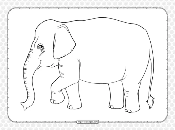 printable old elephant coloring page for kids