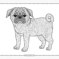 Zentangle Pug Dog Coloring Page for Adults 7 zentangle pug dog coloring page for adults