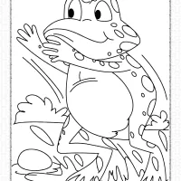 The Frog Jumping Coloring Pages 3 the frog jumping coloring pages
