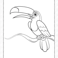 cute toucan coloring pages