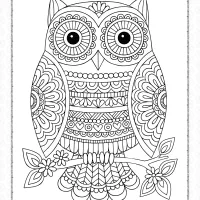 owl coloring pages for adults