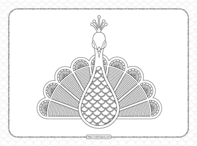 Peacock Illustration Outline Coloring Page