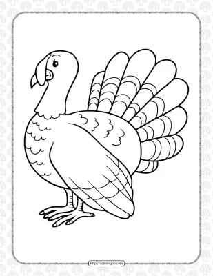 Turkey Coloring Pages for Kids