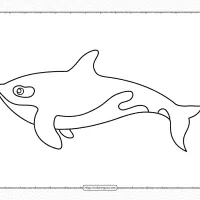 Easy Orca Coloring Pages for Kids 10 easy orca coloring pages for kids