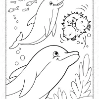 Free Dolphins Coloring Page 8 free dolphins coloring page
