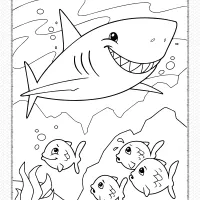 shark coloring page