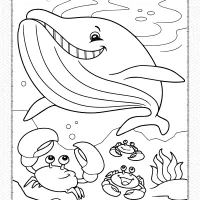 Whale and Crabs Coloring Page 7 whale and crabs coloring page