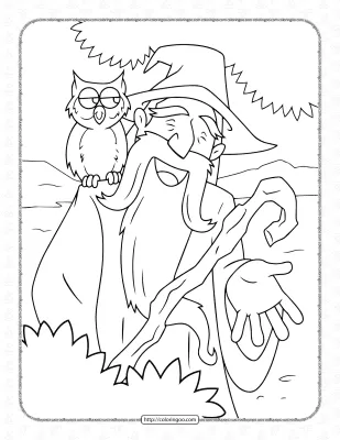 Wizard and His Owl Coloring Page