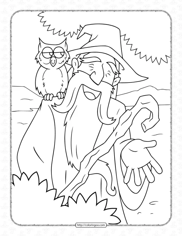 Wizard and His Owl Coloring Page 1 wizard and his owl coloring page