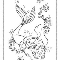 The Little Mermaid Hugs the Flounder Coloring Page 25 the little mermaid hugs the flounder coloring page