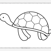 Sea Turtle Pdf Coloring Sheet 13 sea turtle pdf coloring sheet