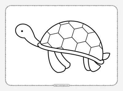 Sea Turtle Pdf Coloring Sheet