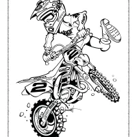 honda off road bike pdf coloring pages