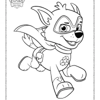 Paw Patrol Rocky is a Super Puppy Coloring Pages 71 paw patrol rocky is a super puppy coloring pages