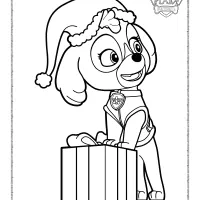 Paw Patrol Skye with a Gift Coloring Page 61 paw patrol skye with a gift coloring page