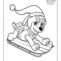 Paw Patrol Zuma on a Sled Coloring Page 55 paw patrol zuma on a sled coloring page