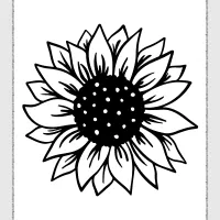 printable sunflower pdf coloring sheet