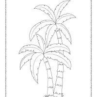 palm tree coloring pages