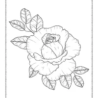hand drawn simple flower coloring page