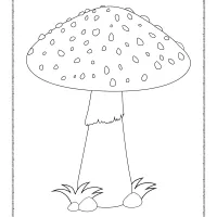 mushroom coloring page