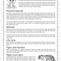 free printable tigers homework worksheet for kids