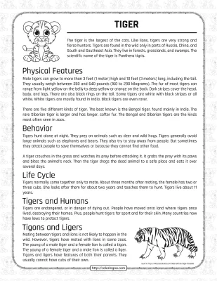 Free Printable Tigers Homework Worksheet for Kids