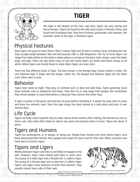 Free Printable Tigers Homework Worksheet for Kids 1 free printable tigers homework worksheet for kids