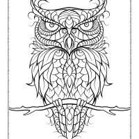 owl mandala coloring sheet