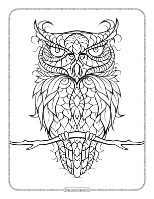 Owl Mandala Coloring Sheet