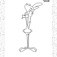 The Road Runner Coloring Sheet 4 the road runner coloring sheet