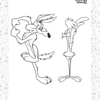 Wile-E Coyote and the Road Runner Coloring Sheet 50 wile e coyote and the road runner coloring sheet
