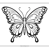 beautiful butterfly coloring page