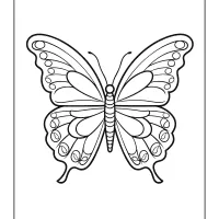 beautiful butterfly coloring sheet
