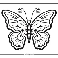 cute butterfly coloring page