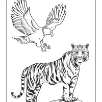 tiger and eagle coloring page