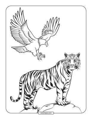 Tiger and Eagle Coloring Page